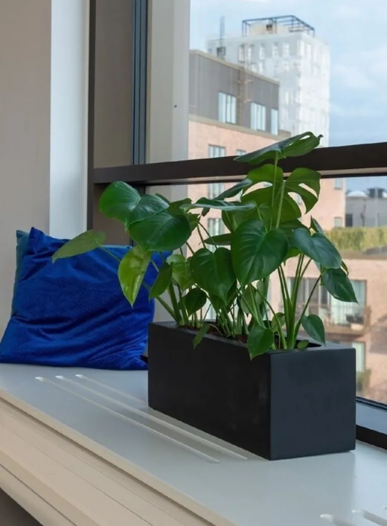 Aflang matsort eller matgrå plantekasse til vinduer - L.40 + L.50 + L.60cm
