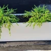 Aflang Smal hvid Plantekrukke med struktur - 80cm