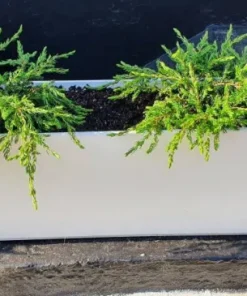 Aflang Smal hvid Plantekrukke med struktur - 80cm