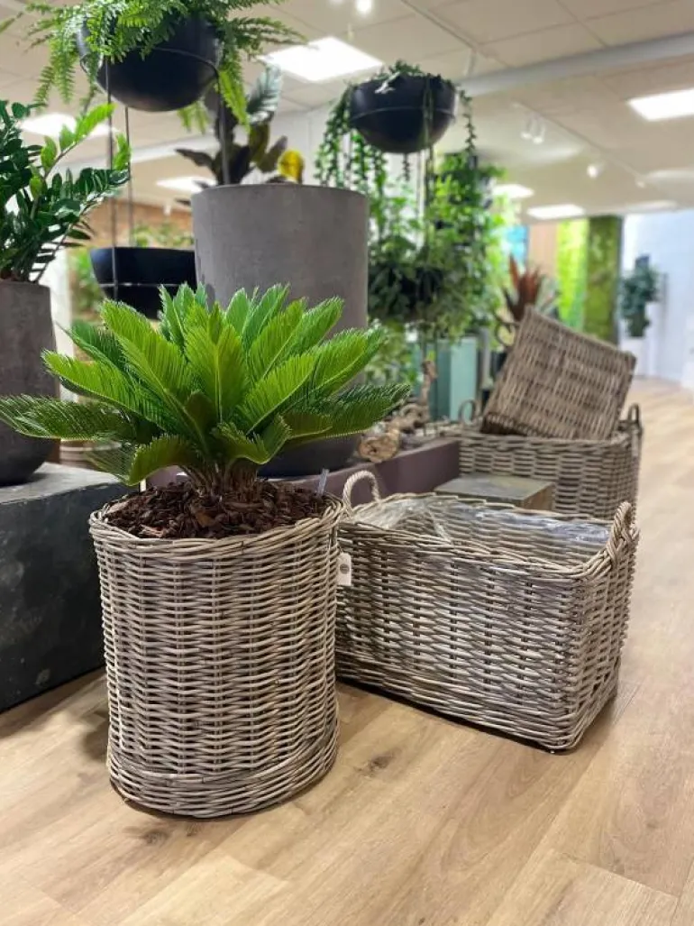 Aflange rattan krukker med hjul - L.60cm + L.70cm