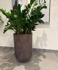 Brun antik krukke i Limestone look
