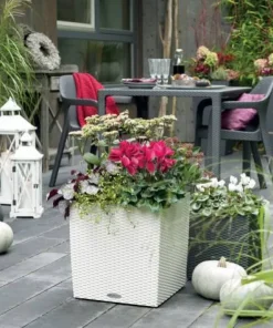 Hvide Lechuza Cube cottage krukker med selvvanding / TILBUD - 8stk
