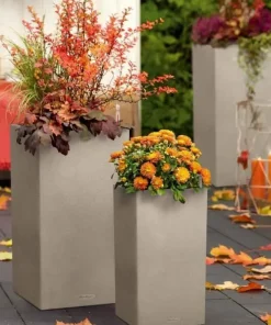Lechuza Canto Stone Struktur Høj - 56cm + 76cm - 4 Farver