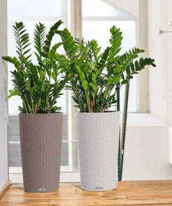 Lechuza Cilindro Cottage / Polyrattan - Selvvanding - 6 farver - 56cm