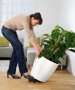Lechuza Classico Premium Ø.50cm - m/u hjul / selvvanding - 6 farver