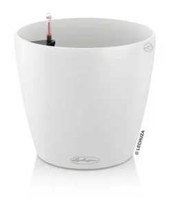 Lechuza COLOR Classico plantepotte - Ø.21cm med selvvanding - 2 farver
