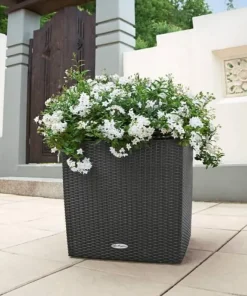 Lechuza Cube Cottage / Polyrattan - grafit-antrazit-sand-lysegrå - 40x40cm+50x50cm