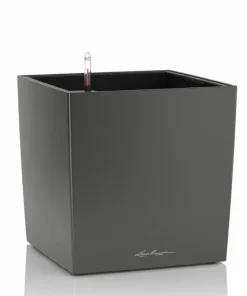 Lechuza Cube Premium med selvvanding - 30cm + 40cm + 50cm - 6 farver - M/U Hjul