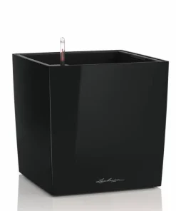 Lechuza Cube Premium med selvvanding - 30cm + 40cm + 50cm - 6 farver - M/U Hjul