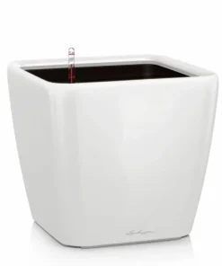 Lechuza Quadro krukker m/u hjul - Ø.35 + Ø.43 + Ø.50 - 6 farver - M/U Hjul