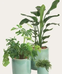 Light green glazed ceramic pots / sæt 3stk