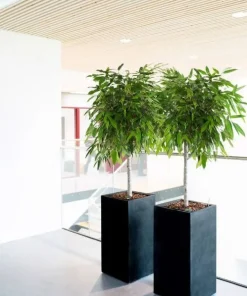 Mat krukke i sort eller grå fiberstone glasfiber - H.60cm + H.80cm + H.100cm