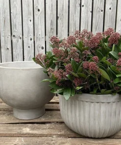 Petros Cup Krukke i Fiberbeton - Ø.42cm