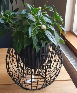 Potteskjuler i sort jern med jerntråde - Ø.26cm