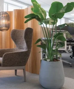 Stor konisk sort eller grå plantekrukke - 2 str.