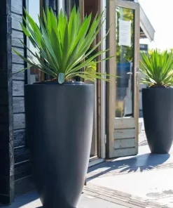 Store Canna Krukker RAL 7021 antrazit polyester - op til Ø.100