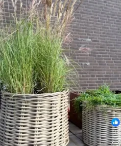 Store rattan kurve / pilekrukker Ø.40 + Ø.60 + Ø.80