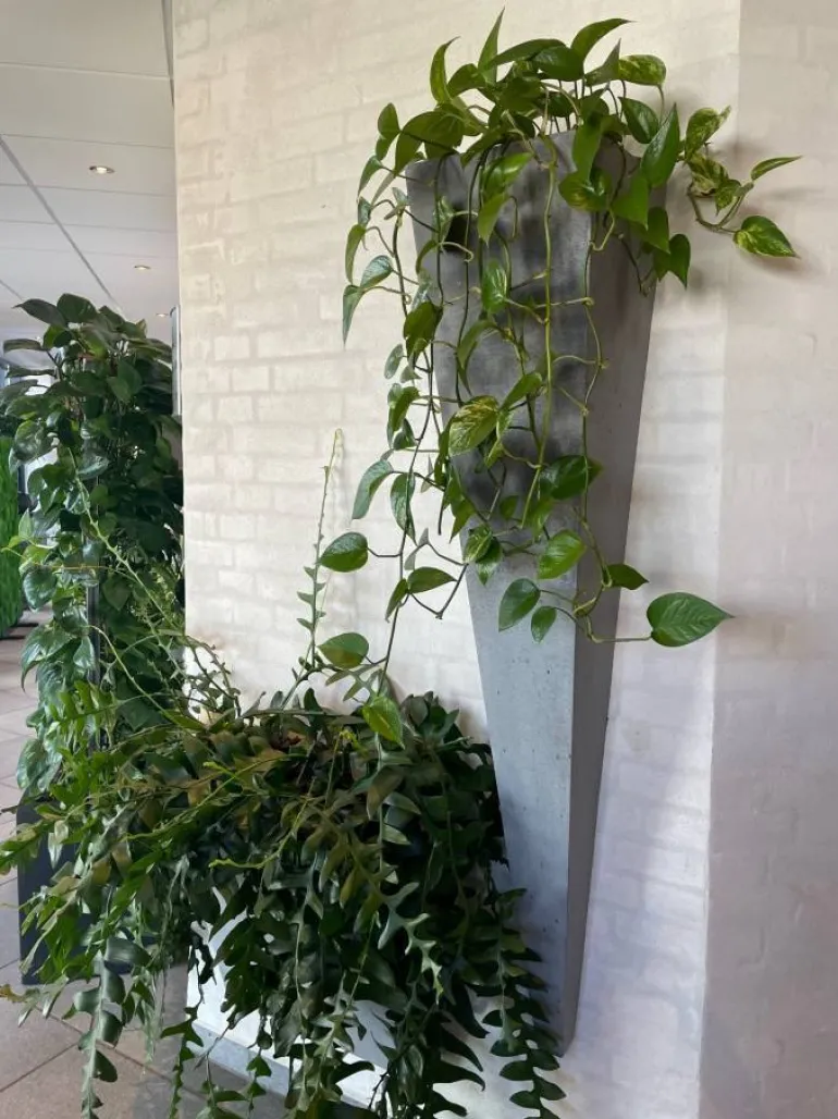 Vægkrukke i sandstone look - 150cm - hvid + grå + antrazit