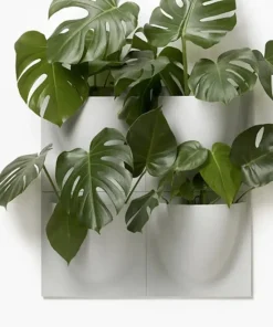 Wallhanger - Blomsterampel til væg - 5 farver
